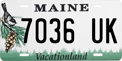 ME license plate 7036UK