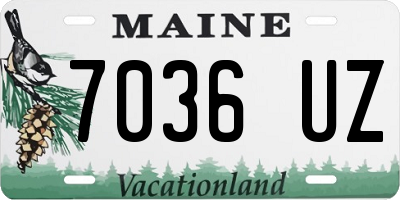 ME license plate 7036UZ