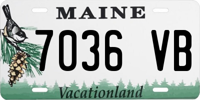 ME license plate 7036VB