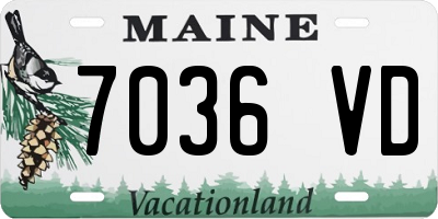 ME license plate 7036VD