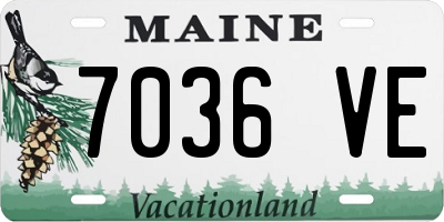 ME license plate 7036VE