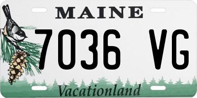 ME license plate 7036VG