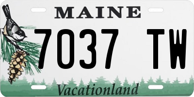 ME license plate 7037TW