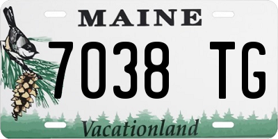 ME license plate 7038TG
