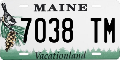 ME license plate 7038TM