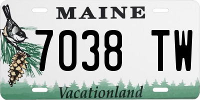 ME license plate 7038TW