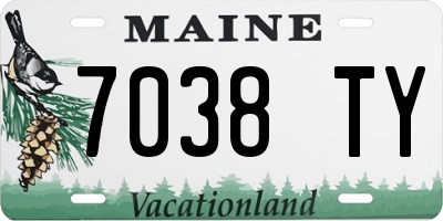 ME license plate 7038TY