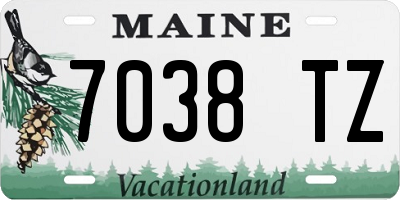 ME license plate 7038TZ
