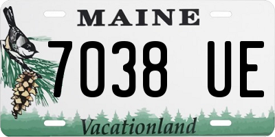 ME license plate 7038UE