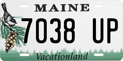 ME license plate 7038UP