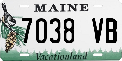 ME license plate 7038VB