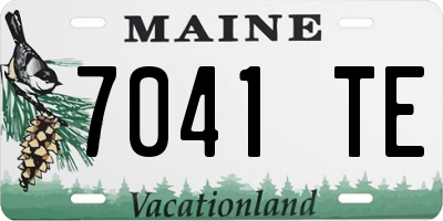 ME license plate 7041TE