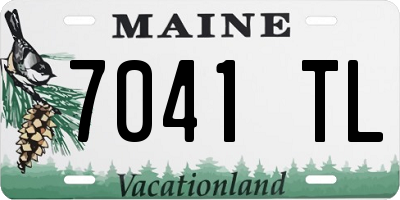 ME license plate 7041TL