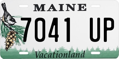 ME license plate 7041UP