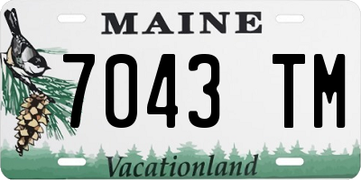 ME license plate 7043TM