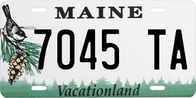 ME license plate 7045TA