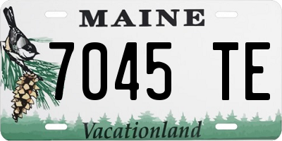 ME license plate 7045TE