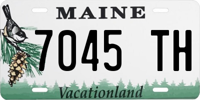 ME license plate 7045TH