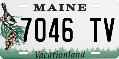 ME license plate 7046TV