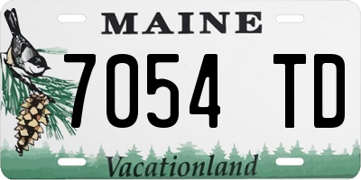 ME license plate 7054TD