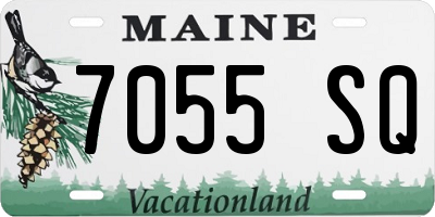 ME license plate 7055SQ