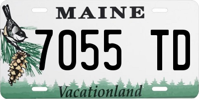 ME license plate 7055TD