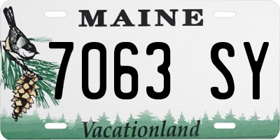ME license plate 7063SY