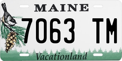 ME license plate 7063TM