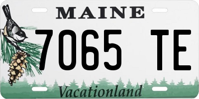 ME license plate 7065TE