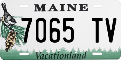 ME license plate 7065TV