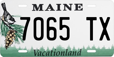 ME license plate 7065TX