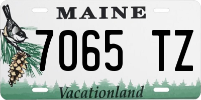ME license plate 7065TZ