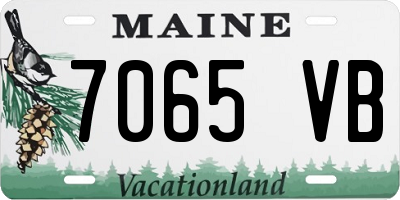 ME license plate 7065VB