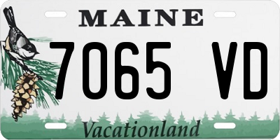 ME license plate 7065VD