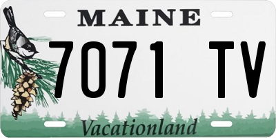 ME license plate 7071TV