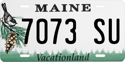 ME license plate 7073SU
