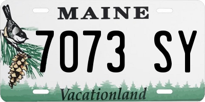 ME license plate 7073SY