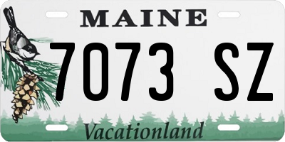 ME license plate 7073SZ