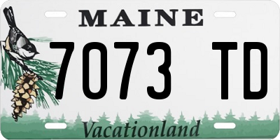 ME license plate 7073TD