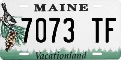 ME license plate 7073TF