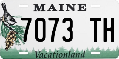 ME license plate 7073TH
