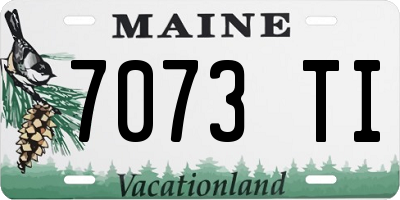 ME license plate 7073TI