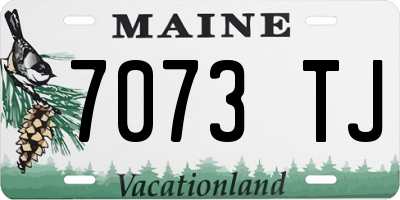 ME license plate 7073TJ