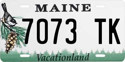 ME license plate 7073TK