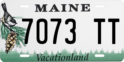 ME license plate 7073TT