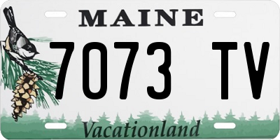 ME license plate 7073TV