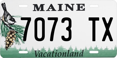 ME license plate 7073TX