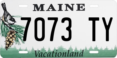 ME license plate 7073TY