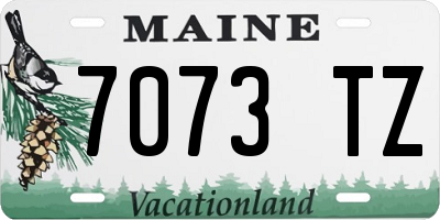 ME license plate 7073TZ