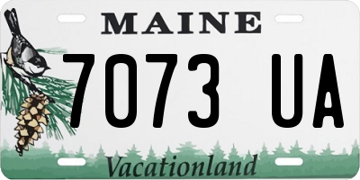 ME license plate 7073UA